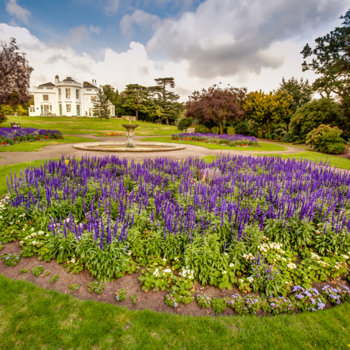 streatham cleaning