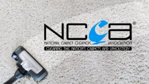 carpet cleaners