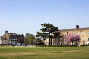 deep cleaning blackheath