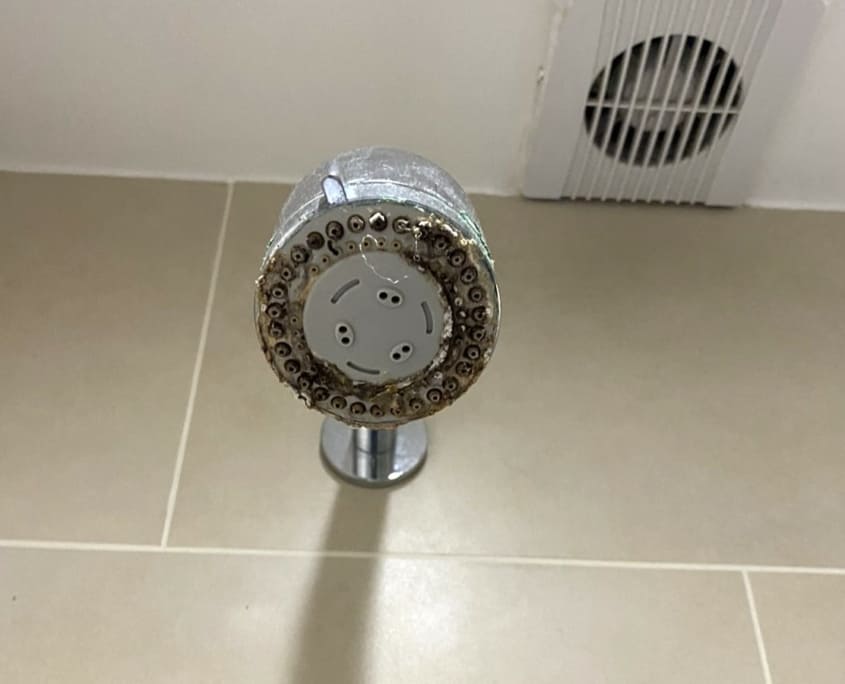 removing limescale from shower head