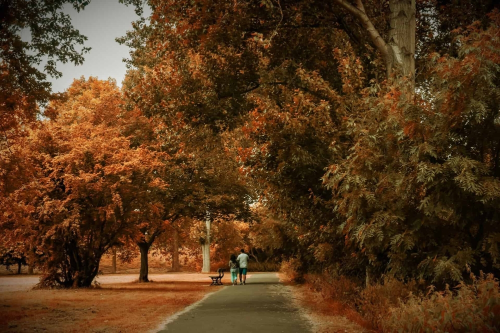 Cleaners Harrow Cleaning Express Cleaning services in HA area