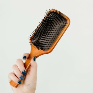 hair brush to collect pet hair