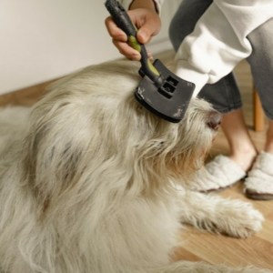 pet hair brush being used on a dog